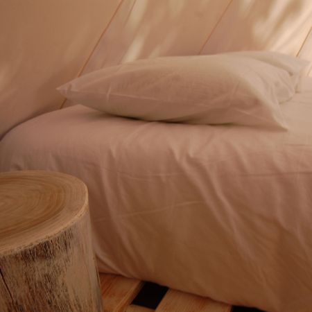Nature Inn Madeira - Glamping 莫尼兹港 外观 照片