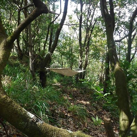 Nature Inn Madeira - Glamping 莫尼兹港 外观 照片
