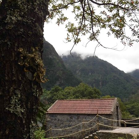 Nature Inn Madeira - Glamping 莫尼兹港 外观 照片