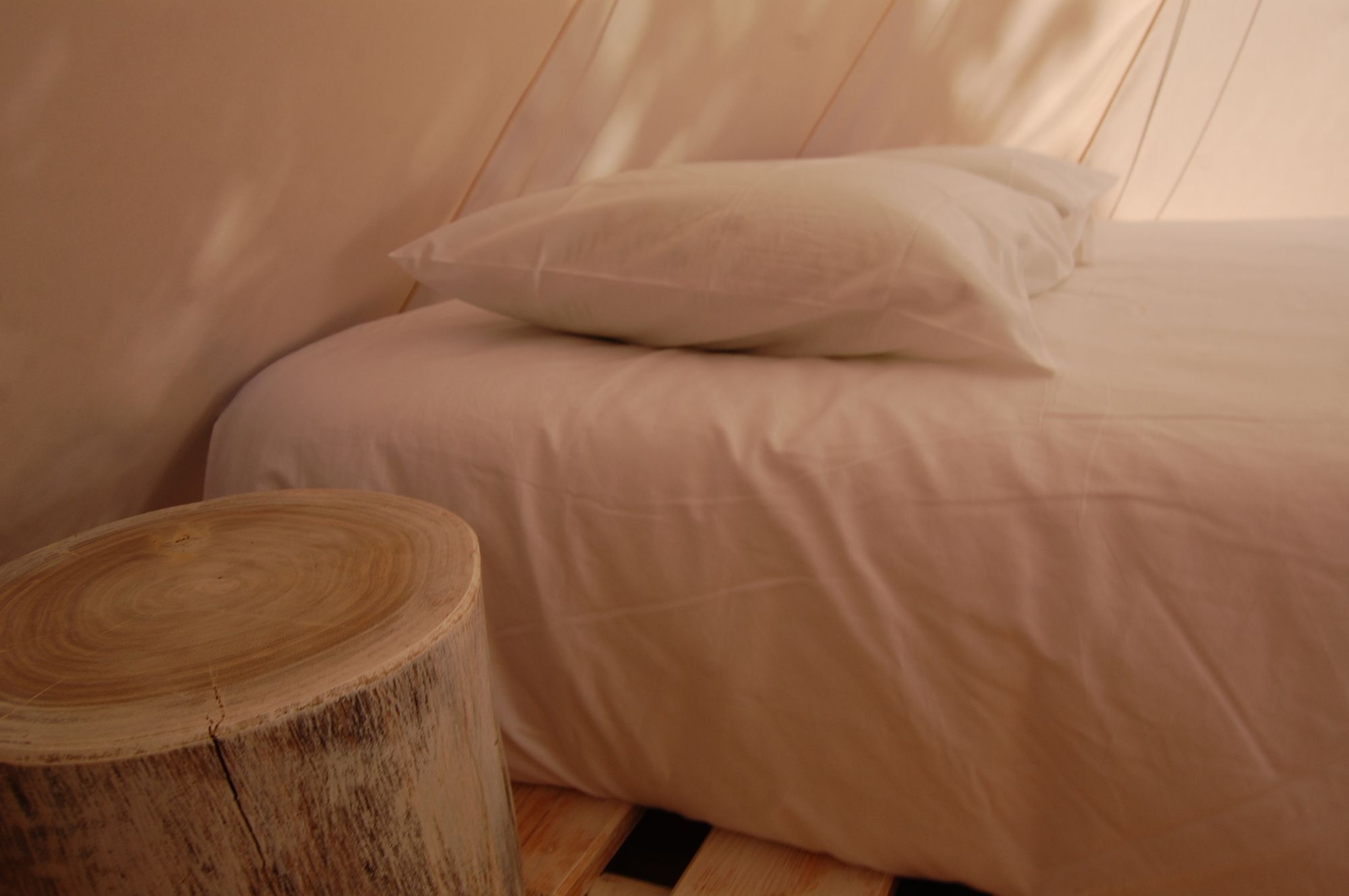 Nature Inn Madeira - Glamping 莫尼兹港 外观 照片