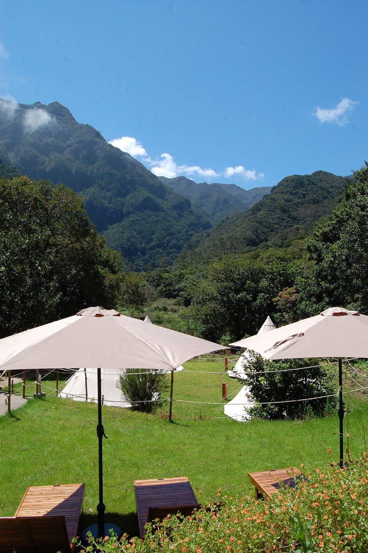 Nature Inn Madeira - Glamping 莫尼兹港 外观 照片