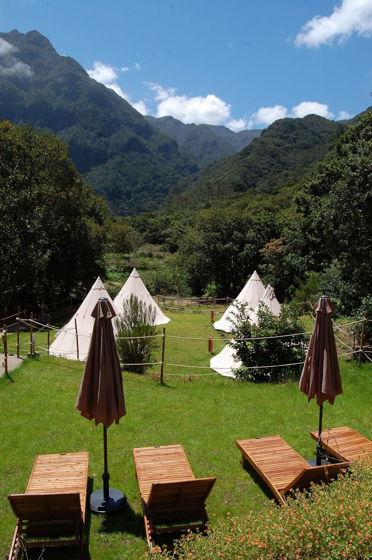 Nature Inn Madeira - Glamping 莫尼兹港 外观 照片