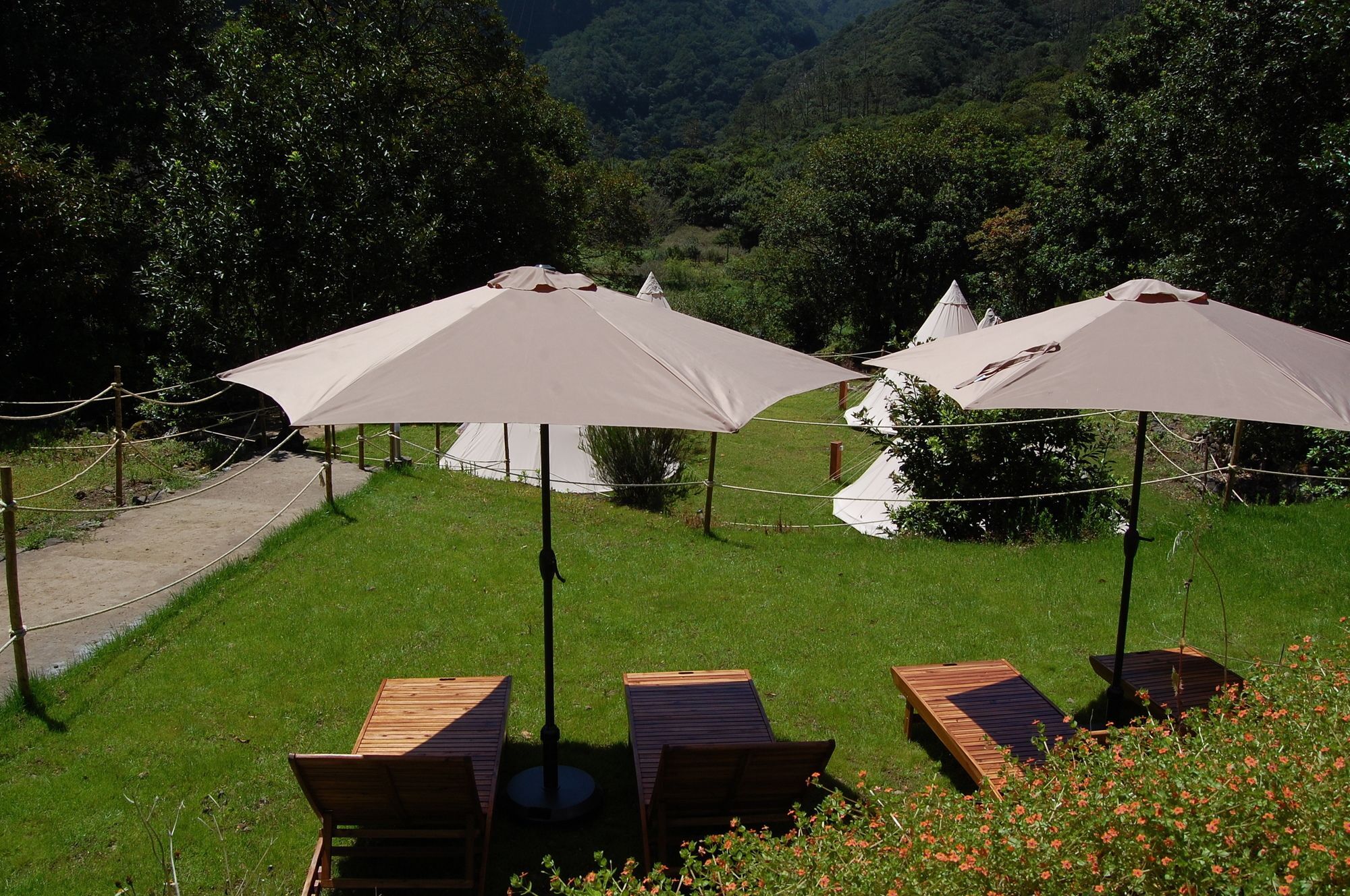 Nature Inn Madeira - Glamping 莫尼兹港 外观 照片