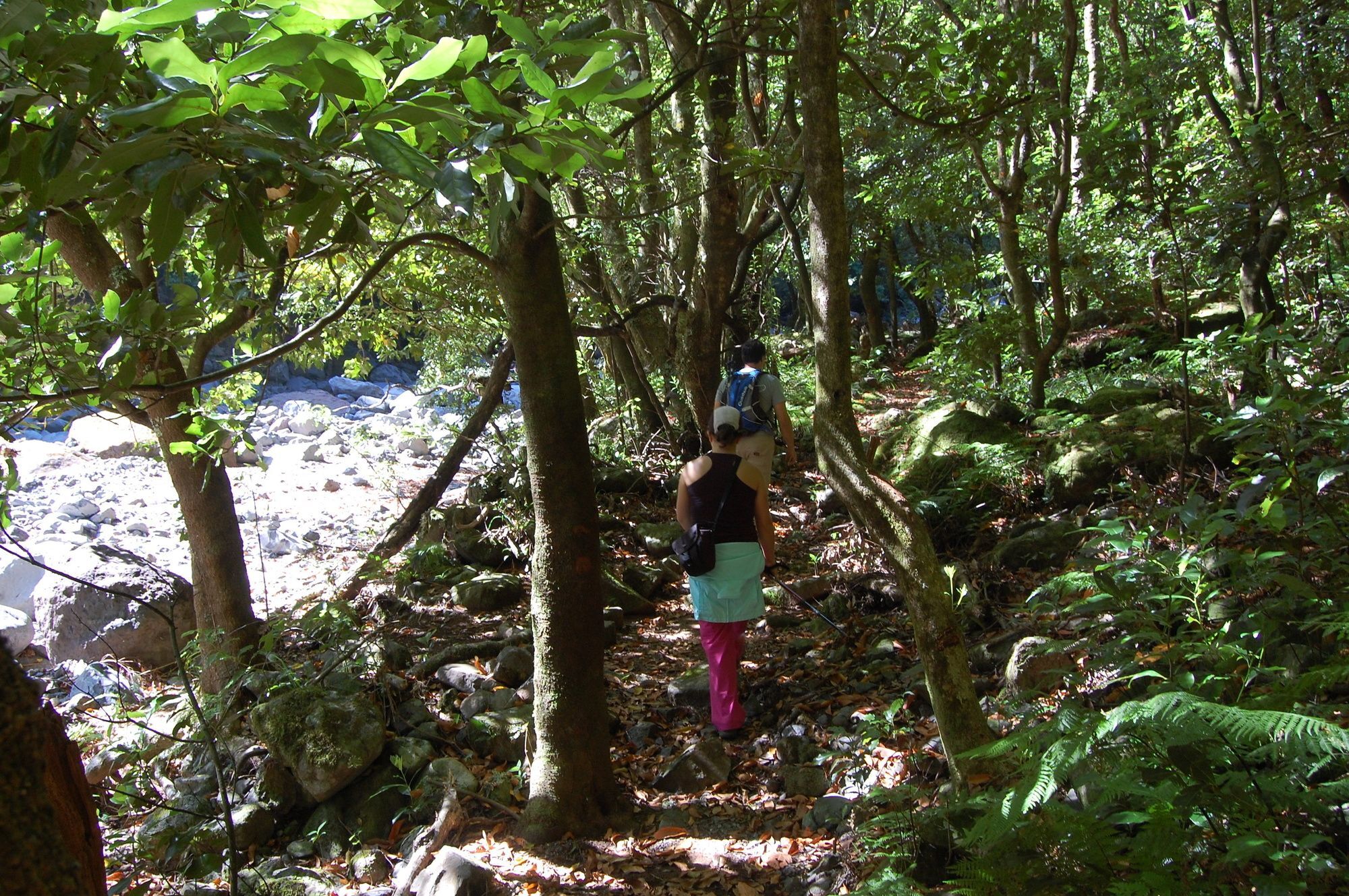 Nature Inn Madeira - Glamping 莫尼兹港 外观 照片