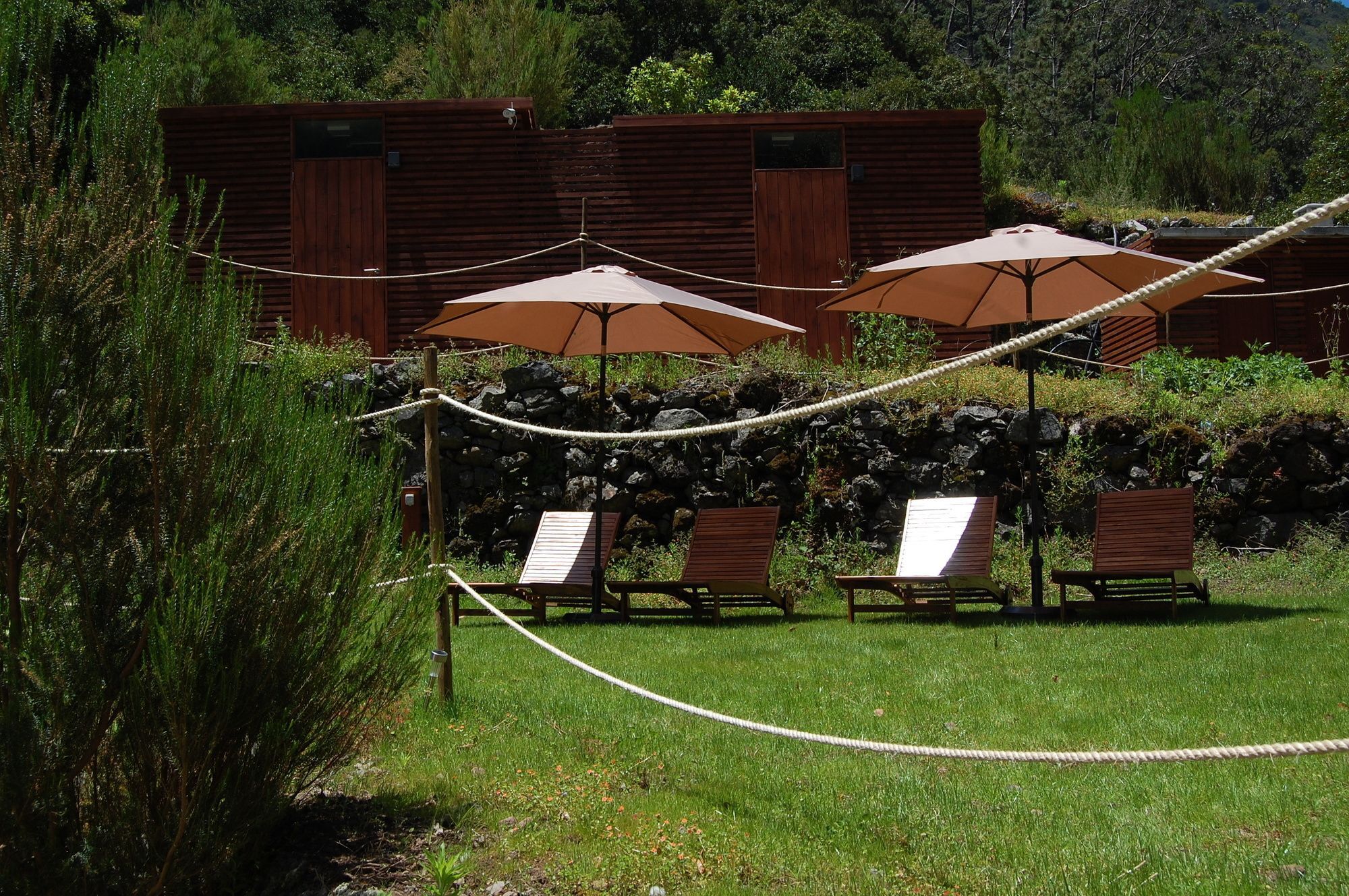 Nature Inn Madeira - Glamping 莫尼兹港 外观 照片